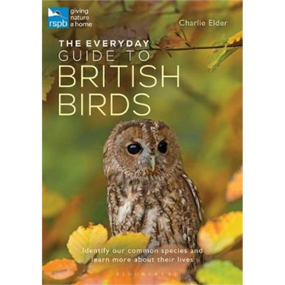 The Everyday Guide to British Birds (Paperback) - Charlie Elder